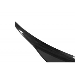 Lotka Lip Spoiler - Mercedes-Benz A class 2019-2023 Carbon SEDAN